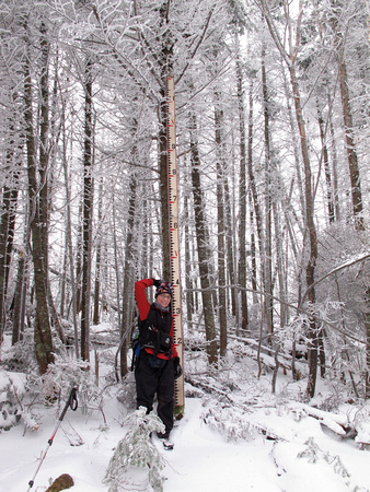 hiking whiteface mtn.